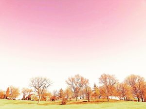 Riverdale Park Toronto