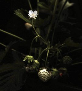 4C472F8F-BE34-42E6-AC6C-6CE30B95D7A7