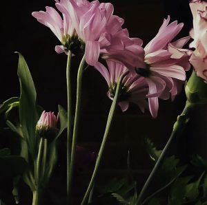 Processed With Darkroom