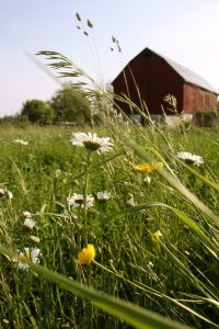 Photos for a tourism guide in Northumberland County