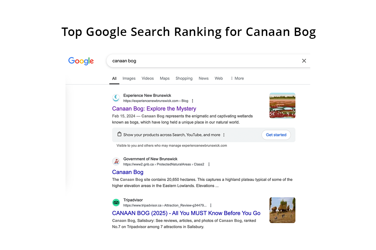 Canaan Bog Search Ranking