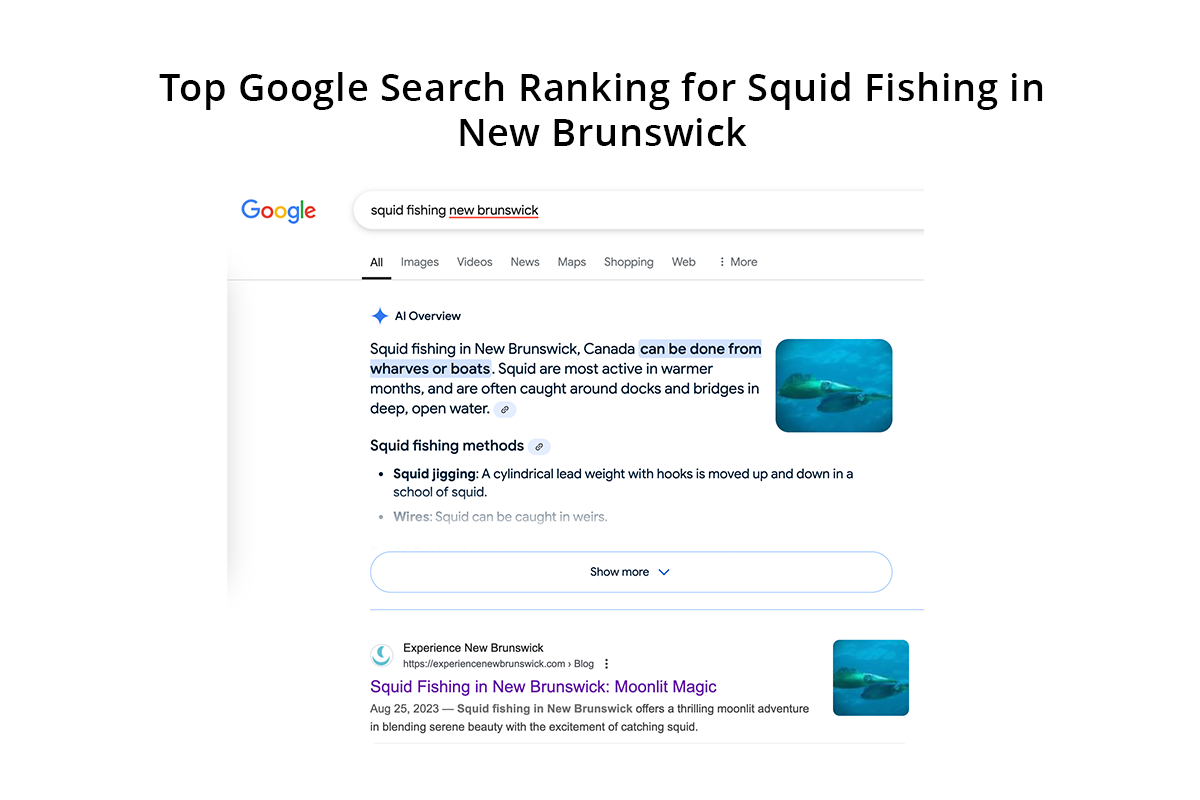 Squid Fishing google ranking