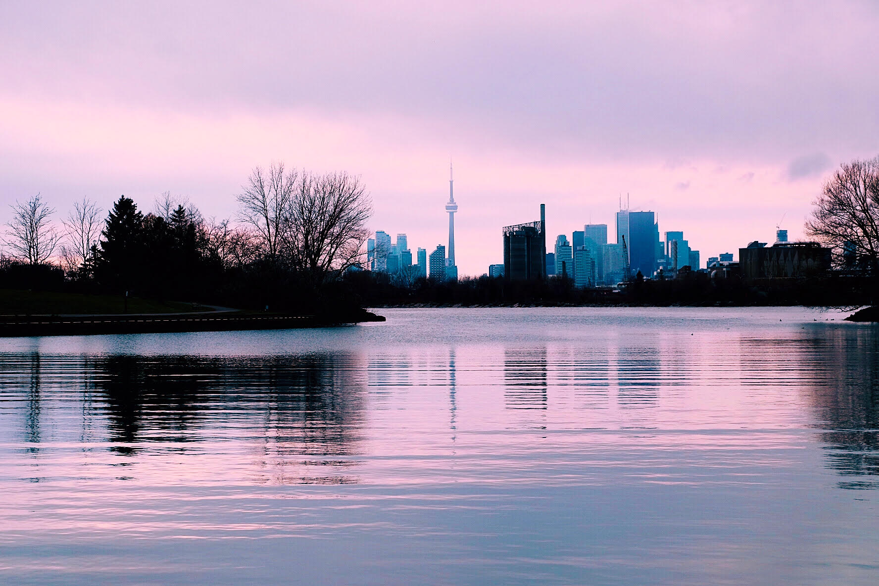 Toronto Skyline