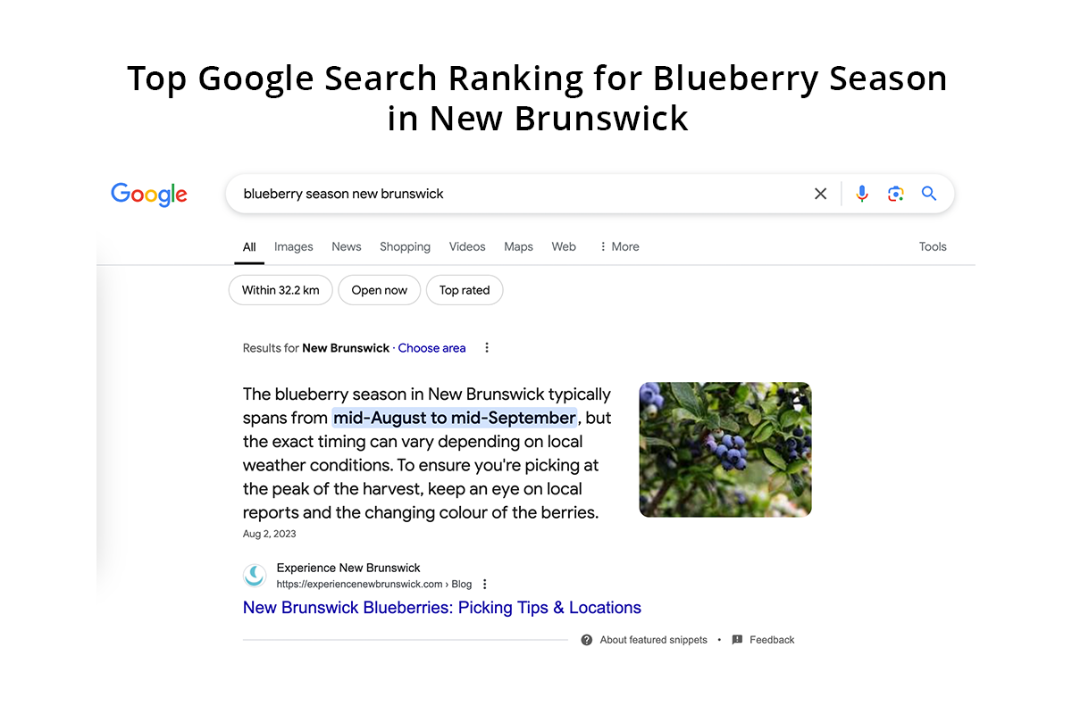 blueberry season search ranking